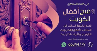 نجار باكستاني الفنيطيس
